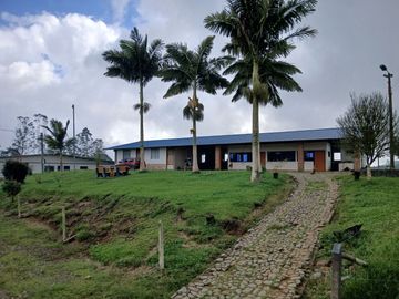 place photo 32