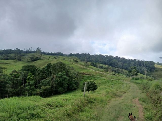 place photo 39