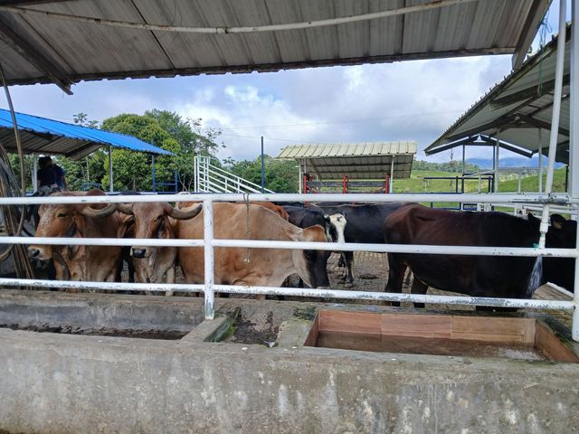 place photo 47