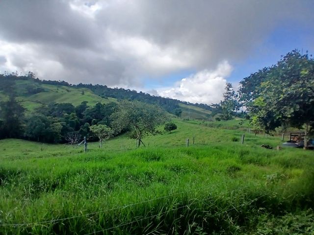 place photo 56