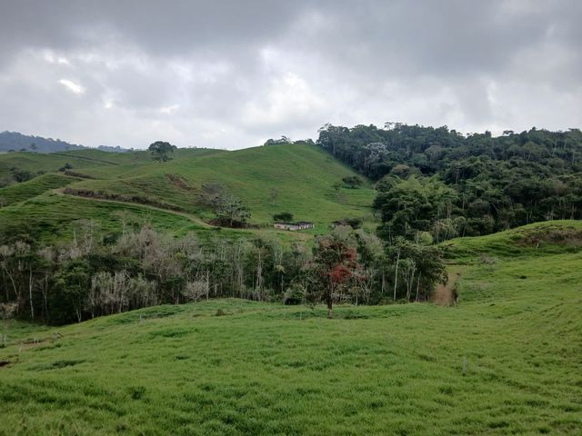 place photo 61