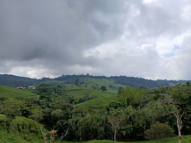 place photo 62