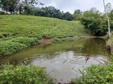 place photo 63