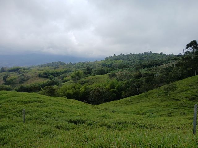 place photo 65