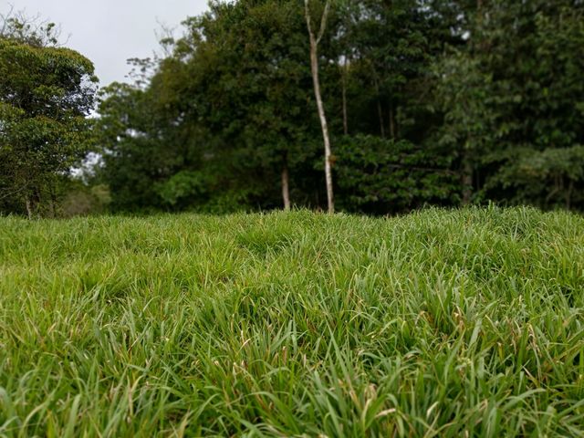 place photo 66