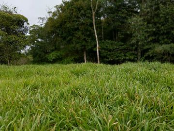 place photo 66