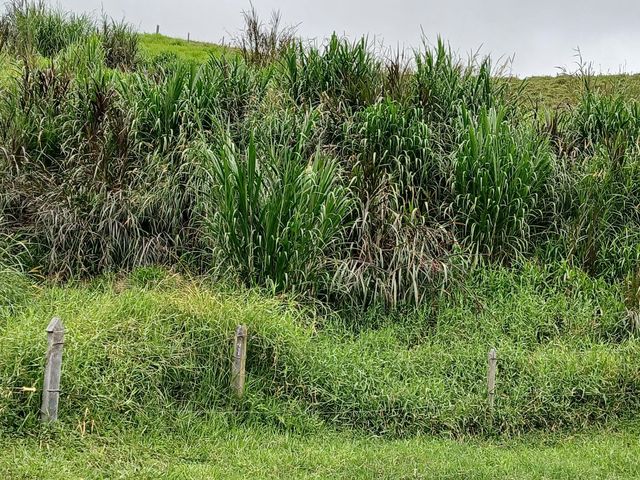 place photo 68