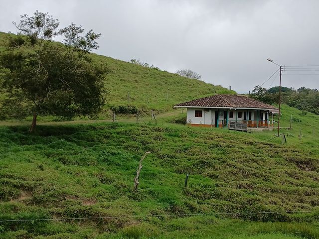 place photo 69