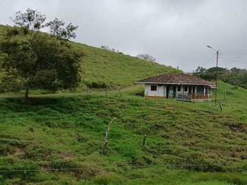 place photo 69