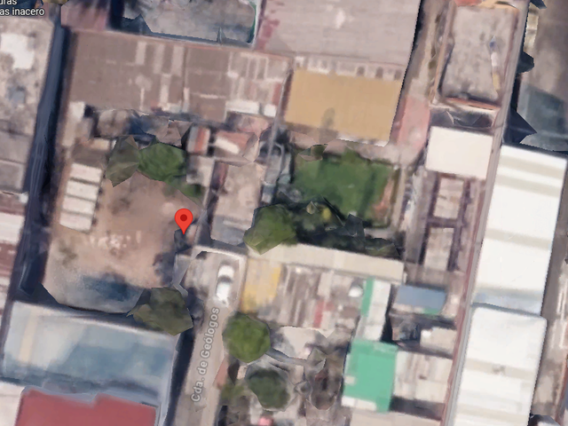 place photo 22