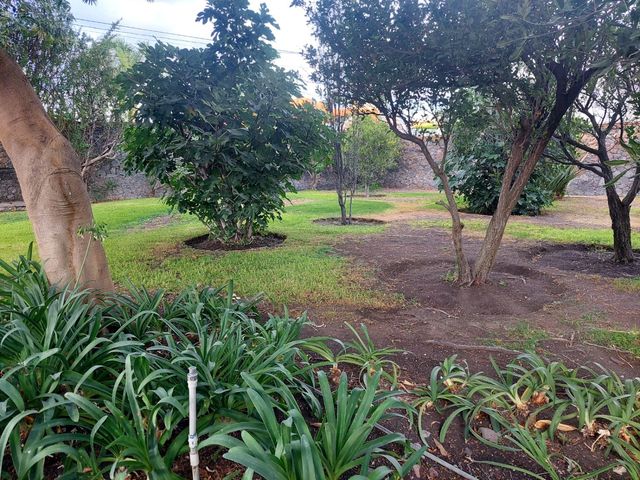 place photo 60
