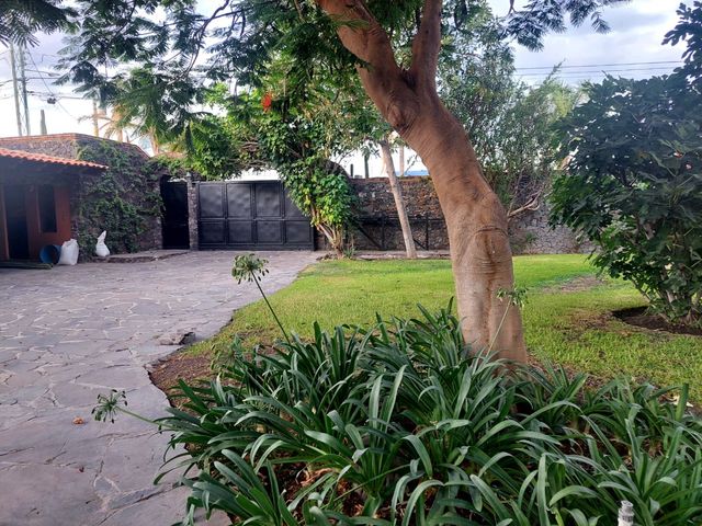 place photo 62