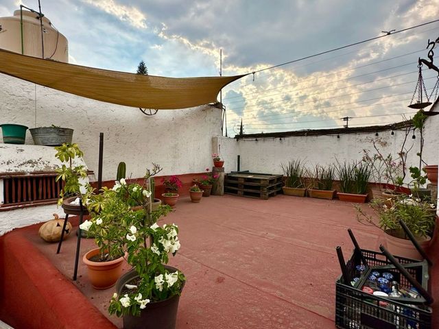 place photo 34