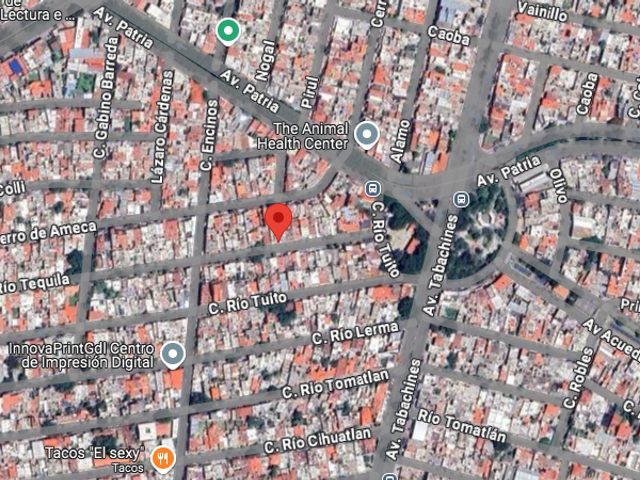 place photo 12