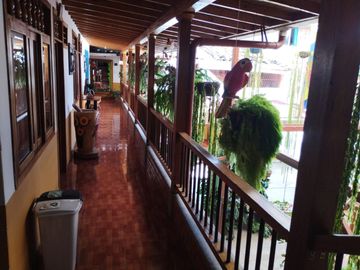 place photo 47