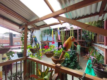 place photo 89