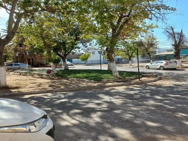 place photo 26