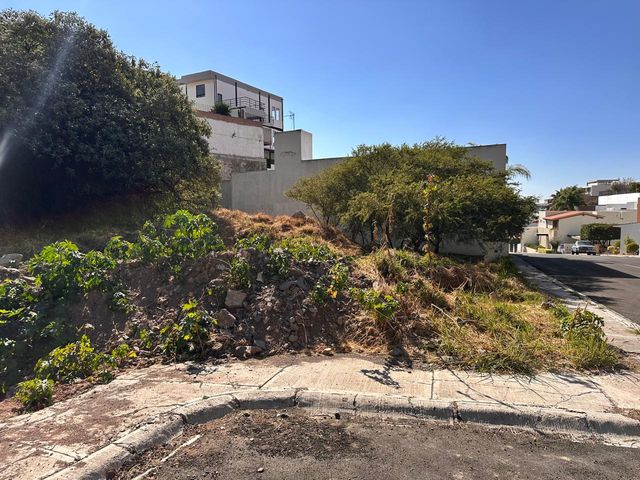 place photo 42