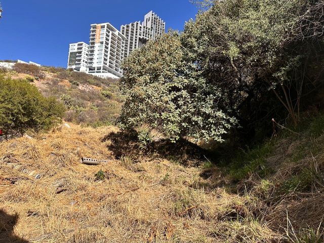 place photo 45