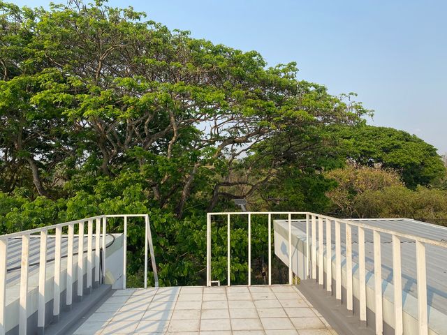 place photo 48