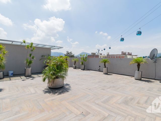 place photo 37