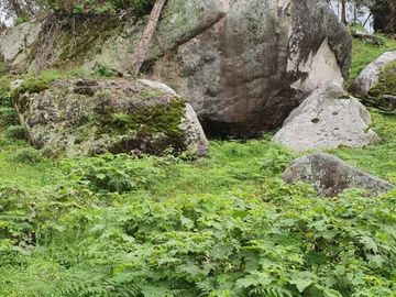 place photo 20