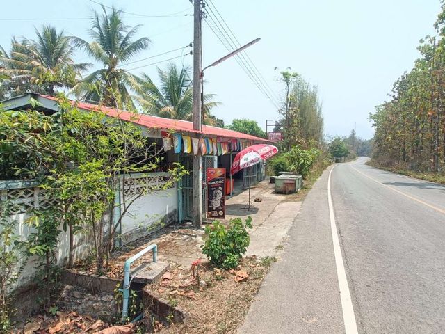 place photo 26