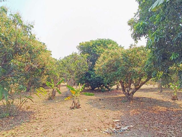 place photo 32