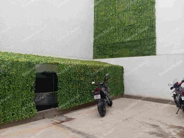 place photo 24