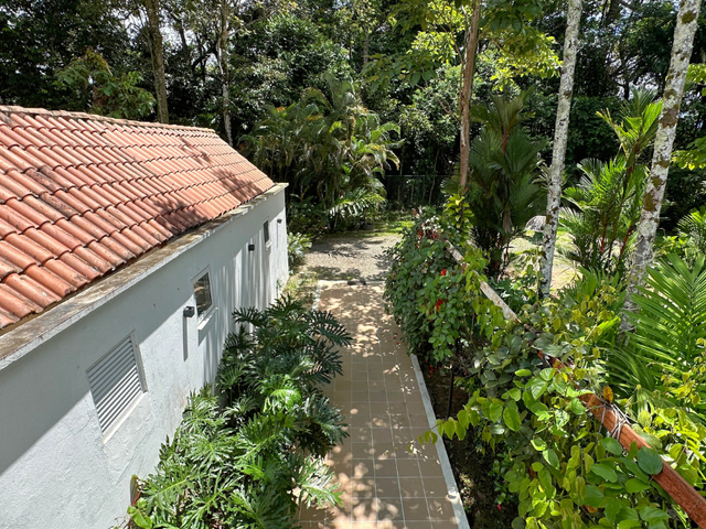 place photo 39