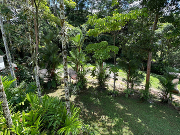place photo 42