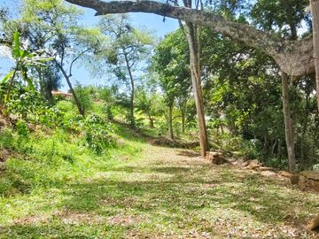 place photo 37