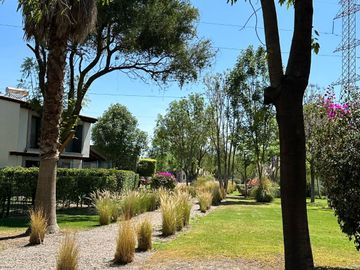 place photo 38