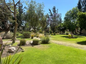 place photo 39
