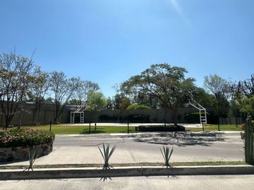 place photo 46