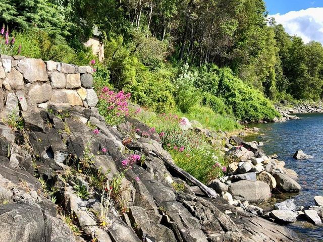 place photo 36