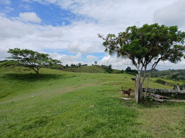 place photo 30