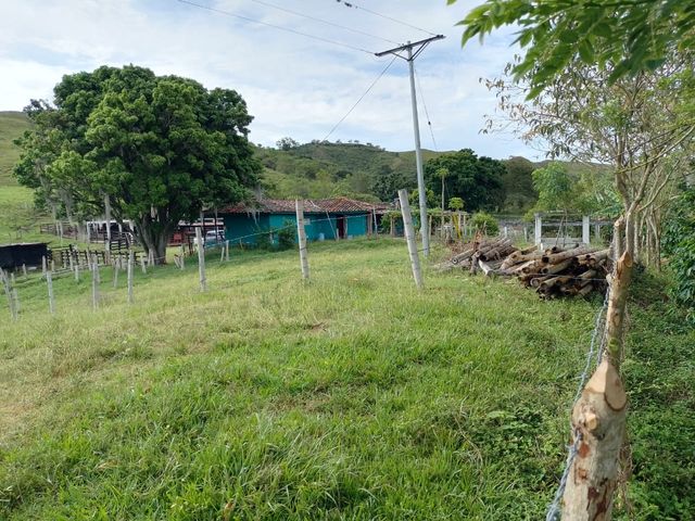place photo 36