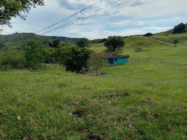place photo 41
