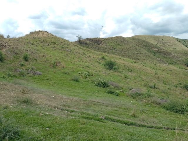 place photo 43