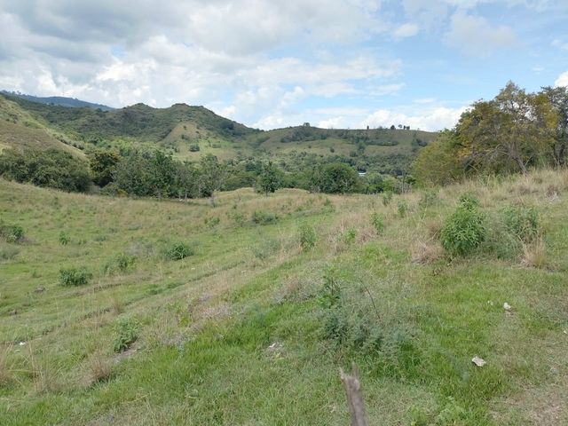 place photo 45