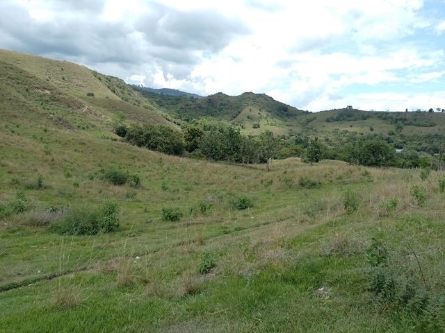 place photo 46