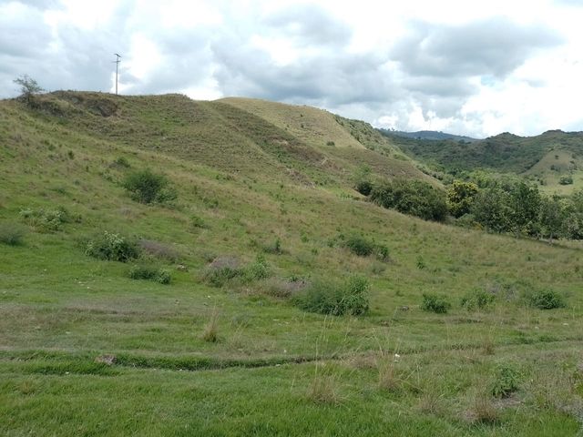 place photo 47