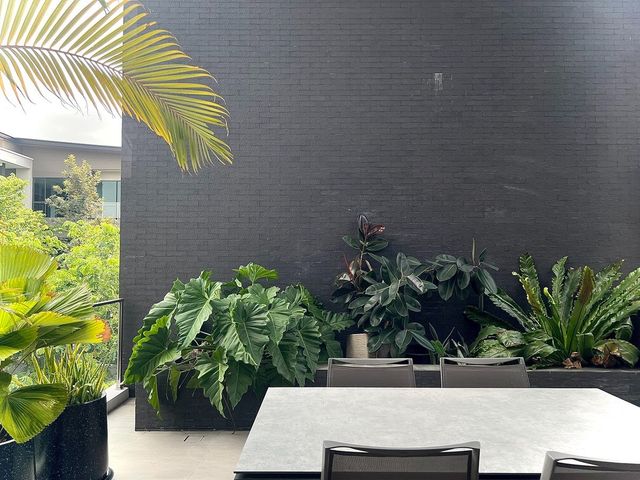 place photo 61