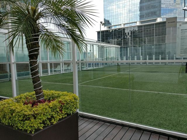 place photo 33