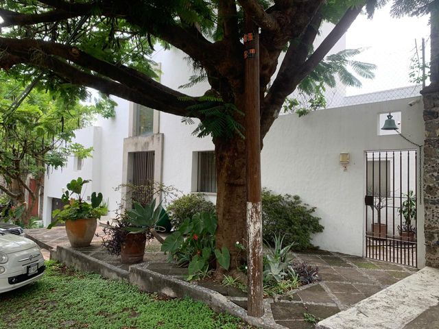 place photo 18