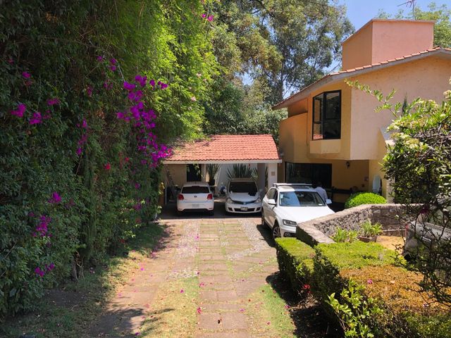 place photo 55
