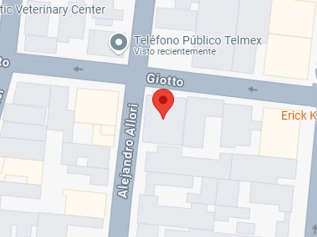 place photo 4