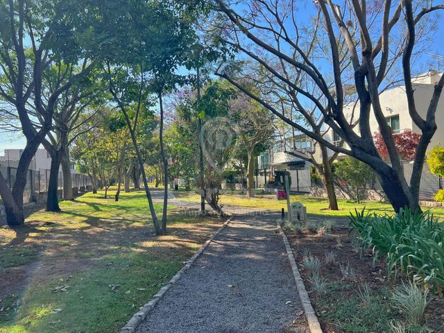 place photo 45
