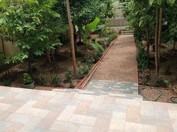 place photo 24